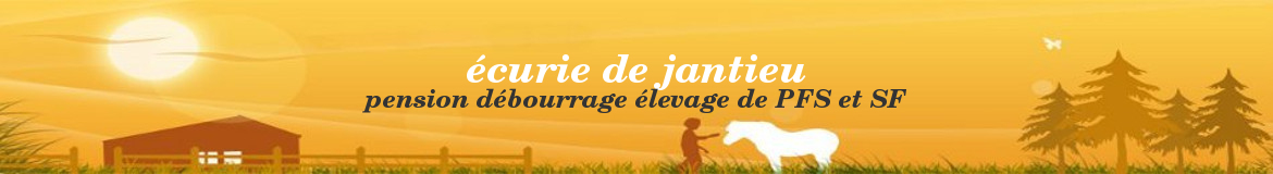 écurie de jantieu